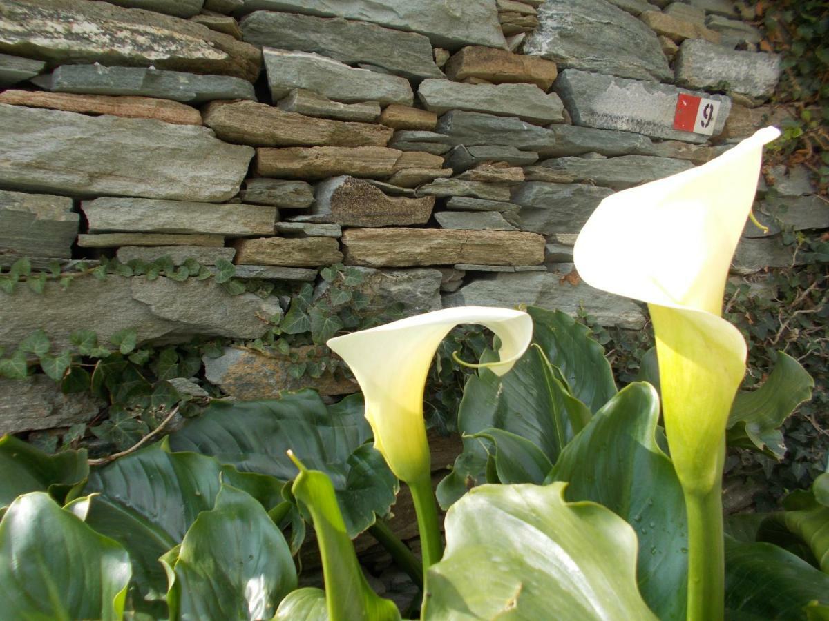 Cyclades Olive Museum'S Guest House Pitrofos Exterior photo